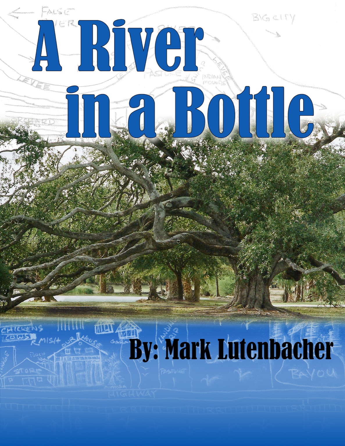 Book cover for A River in a Bottle